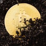 Безопасное хранение криптовалюты основные принципы и методы