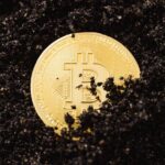 Настройка майнинга Dogecoin на пуле EMCD