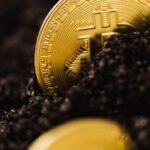 Настройка майнинга на пуле EMCD для добычи BRL с высокой доходностью